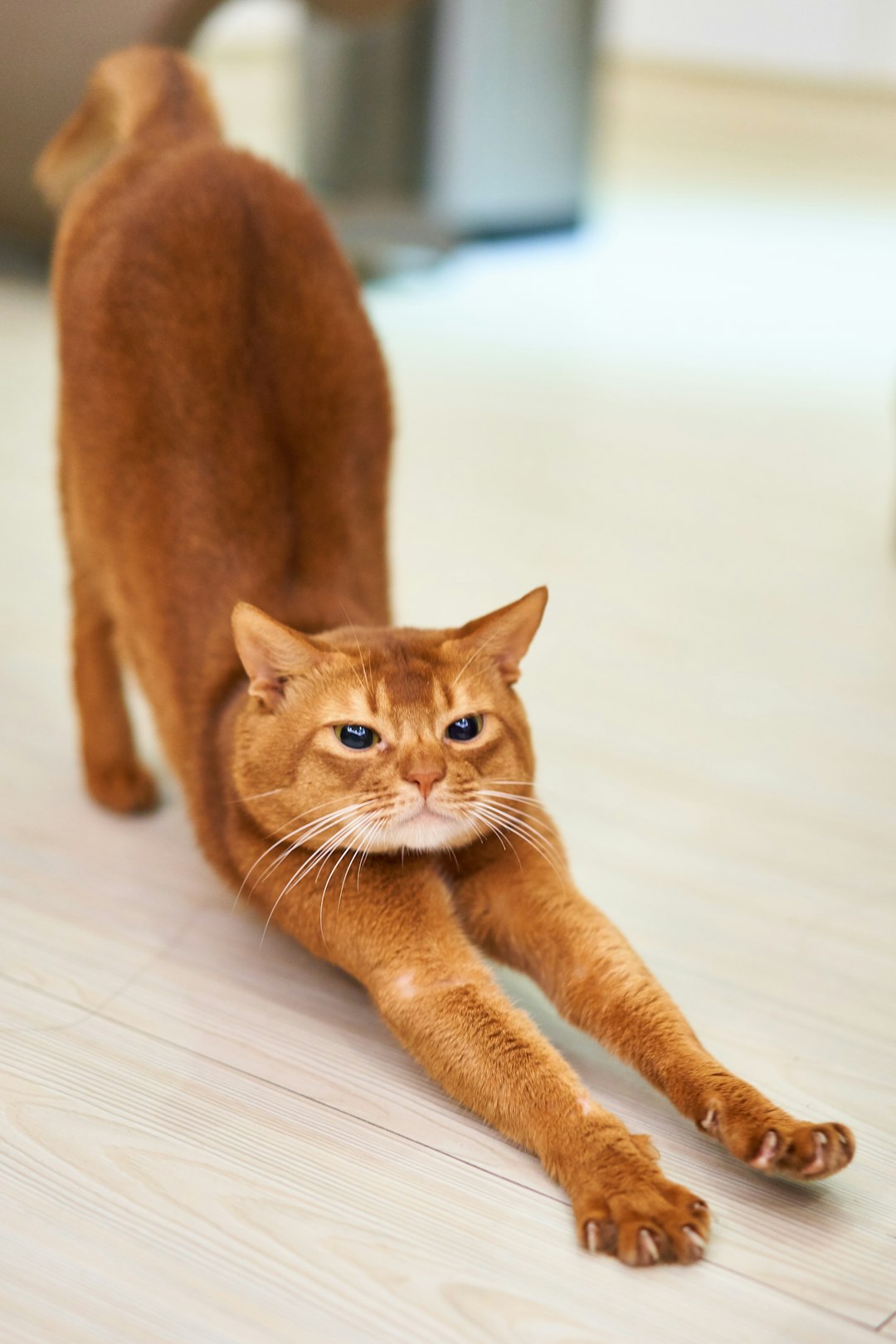 Stretching in the morning